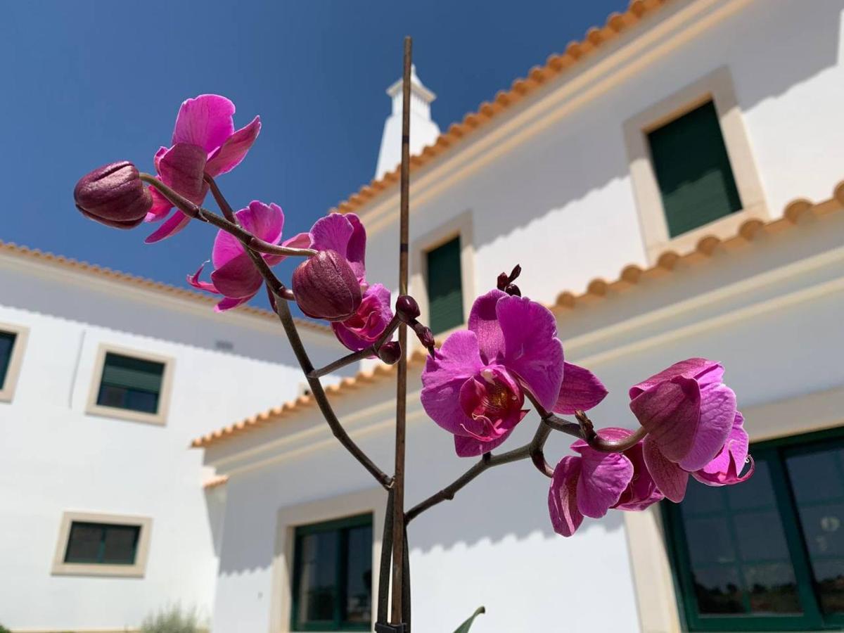 Casa Mineira Guest House Ferreiras Exterior photo